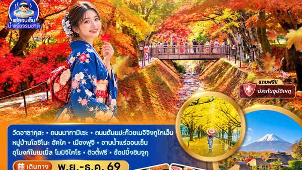 ZGNRT-2645VZ โตเกียว ฟูจิ ถนนแปะก๊วย ชมใบไม้เปลี่ยนสีอุโมงค์เมเปิ้ล (อิสระท่องเที่ยว 1 วัน)