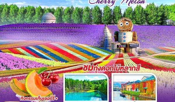 QQGO2CTS-XJ027 HOKKAIDO COLORFUL FLOWER CHERRY MELON 6D 4N โดยสายการบินไทยแอร์เอเชีย เอ็กซ์ [XJ]