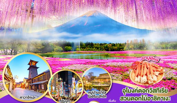 QQGO2NRT-XJ035 TOKYO FUJI PINKMOSS & WISTERIA 5D 3N  โดยสายการบินไทยแอร์เอเชีย เอ็กซ์ [XJ]