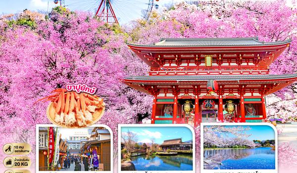 QQGO2NRT-XJ033 TOKYO FUJI SAKURA 5D 3N โดยสายการบินไทยแอร์เอเชีย เอ็กซ์ [XJ]