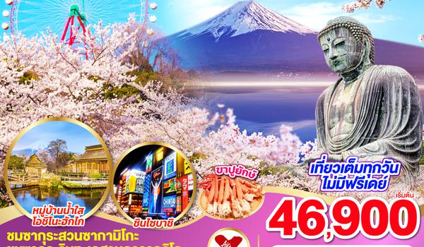 QQGO2NRT-XJ036 TOKYO FUJI OSAKA SAKURA 6D 4N  โดยสายการบินไทยแอร์เอเชีย เอ็กซ์ [XJ]