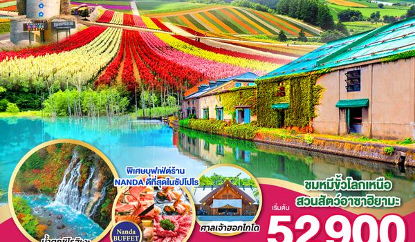 QQGO2CTS-TG036 HOKKAIDO FURANO FLOWER CHEESE 6D 4N โดยสายการบินไทย [TG]