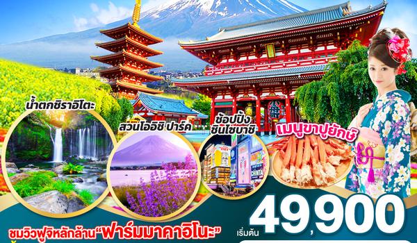 QQGO2HND-TG029 TOKYO FUJI OSAKA FLOWER FARM  6D 4N โดยสายการบินไทย [TG]