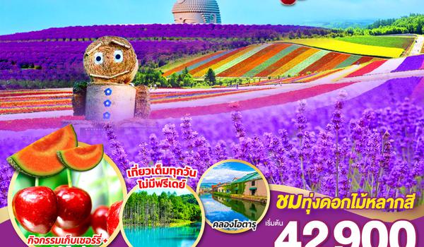 QQGO2CTS-XJ027 HOKKAIDO COLORFUL FLOWER CHERRY MELON 6D 4N โดยสายการบินไทยแอร์เอเชีย เอ็กซ์ [XJ]