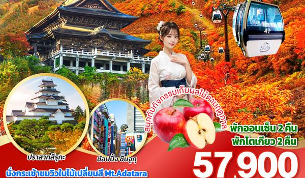 QQGO2NRT-TG079 NIKKO TOKYO FUKUSHIMA AUTUMN  6D 4N โดยสายการบินไทย [TG]