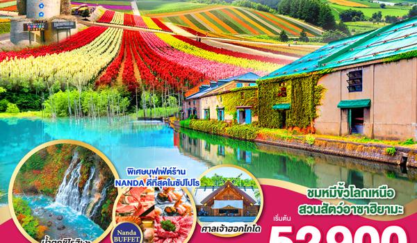 QQGO2CTS-TG036 HOKKAIDO FURANO FLOWER CHEESE 6D 4N โดยสายการบินไทย [TG]