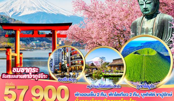 QQGO2NRT-TG067 TOKYO FUJI Mt.OMURO SAKURA  6D 4N โดยสายการบินไทย [TG]