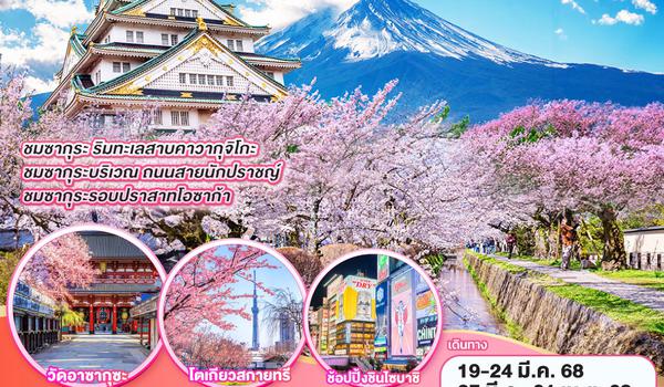 QQGO2HND-TG024 TOKYO OSAKA SAKURA BLOSSOM  6D 4N โดยสายการบินไทย [TG]