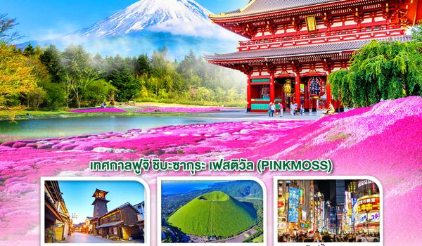 QQGO2NRT-TG071 WONDERFUL PINKMOSS FUJI TOKYO  6D 4N โดยสายการบินไทย [TG]