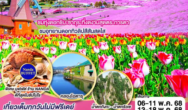 QQGO2CTS-TG034 HOKKAIDO COLORFUL PINKMOSS 6D 4N โดยสายการบินไทย [TG]