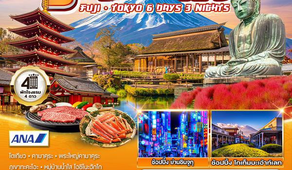 ทัวร์ญี่ปุ่น ฟูจิ - โตเกียว 6 วัน 3 คืน (NH) 22 - 27 OCT 2025