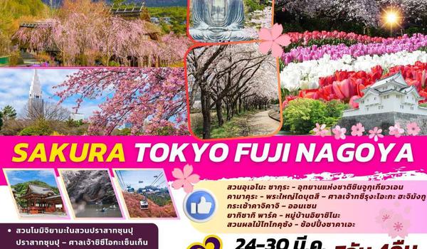 TOP315 : SAKURA TOKYO FUJI NAGOYA 7D4N BY TG