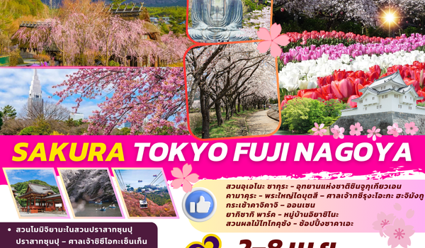 TOP315 : SAKURA TOKYO FUJI NAGOYA 7D4N BY TG