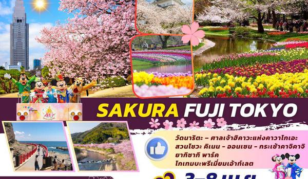 TOP316 : SAKURA FUJI TOKYO 6D4N BY TG 