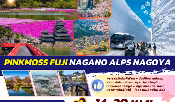 TOP318 : PINKMOSS FUJI NAGANO ALPS NAGOYA 7D4N BY TG