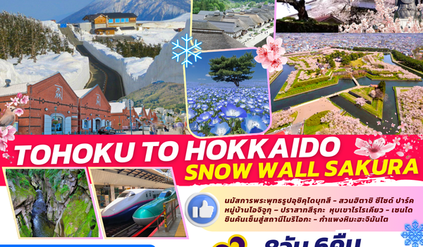 TOP326 : TOHOKU TO HOKKAIDO SNOW WALL SAKURA 8D6N BY TG