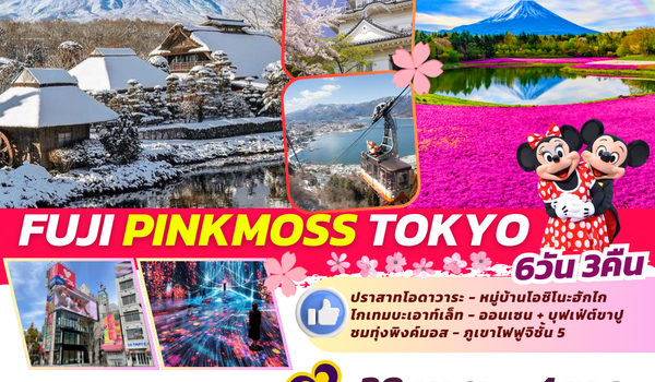 TOP328 : FUJI PINKMOSS TOKYO 6D3N BY TG