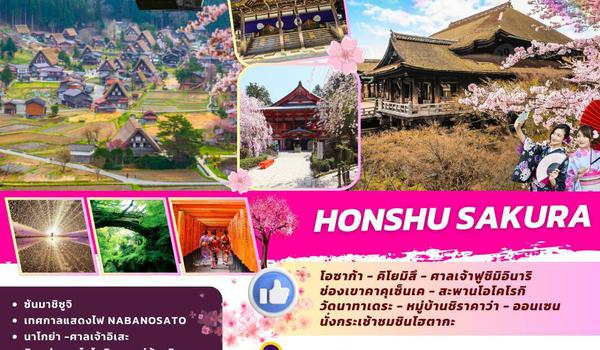 TOP311-1 : HONSHU SAKURA 7D6N BY TG 