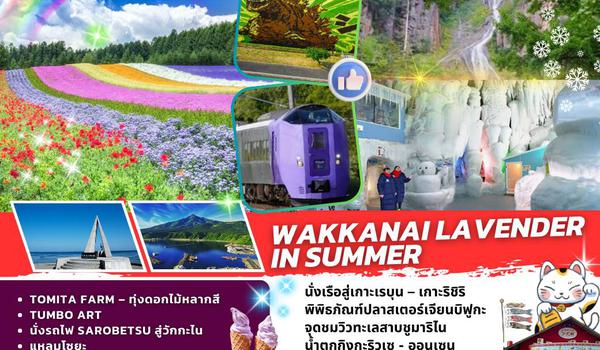 TOP336 : WAKANAI LAVENDER IN SUMMER 7D5N BY TG 