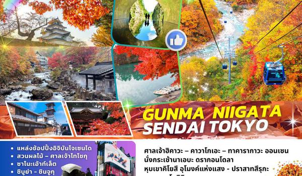 TOP-NIGATA001 : GUNMA NIIGATA SENDAI TOKYO 7D4N BY TG