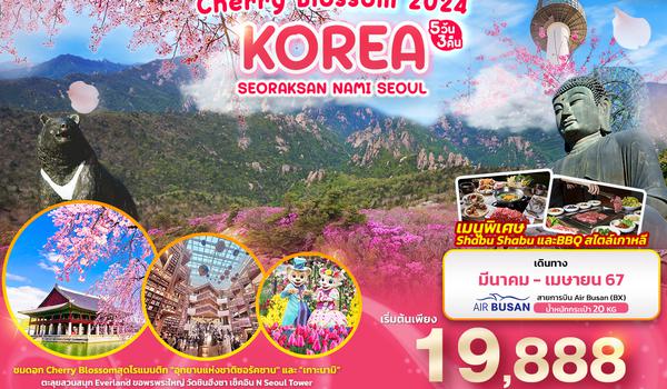 KBX40 KOREA Cherry Blossom 2024  SEORAKSAN NAMI SEOUL 5วัน3คืน