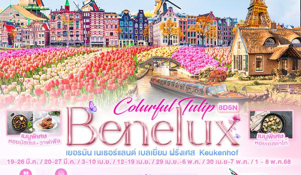 GEK82 Colurful Tulip Benelux เยอรมัน เนเธอแลนด์ เบลเยี่ยม ฝรั่งเศส  Keukenhof 8 วัน 5 คืน