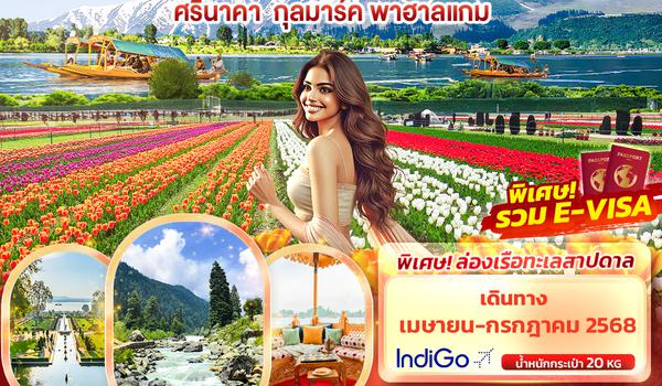 I6E102 BEAUTYFUL KASHMIR ศรีนาคา กุลมาร์ค พาฮาลแกม 5วัน 3คืน