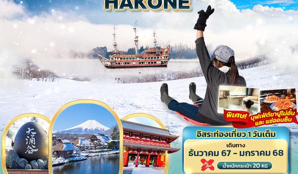 JXJ147 Winter Snow FUJI TOKYO NARITA HAKONE 5วัน3คืน