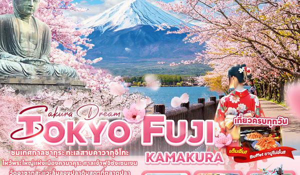 JXJ177  Sakura Dream TOKYO FUJI KAMAKURA 5วัน 3คืน