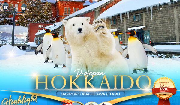 PJP10-XJ HOKKAIDO SAPPORO ASAHIKAWA  OTARU 6D4N