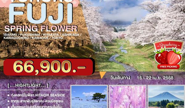 JPL-0416-T ทัวร์ญี่ปุ่น TOHOKU FUJI SPRING FLOWER 7วัน 4คืน