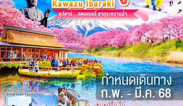 XJ234 DF-TOKYO KAWAZU FUJI IBARAKI 5D 3N BY XJ --- FEB - MAR'25 --- ซุปตาร์...สตอเบอรี่ ซากุระหวานฉ่ำ... ProgramId:251