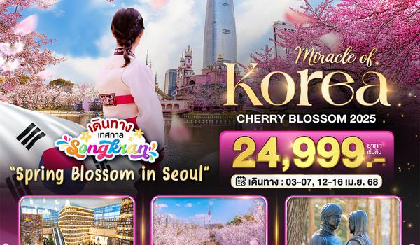 BT-ICN21_XJ มหัศจรรย์...KOREA CHERRY BLOSSOM