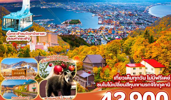 HOKKAIDO HAKODATE JOZANKEI ONSEN 6D 4N BY โดยสายการบินแอร์เอเชีย เอ็กซ์ [XJ]