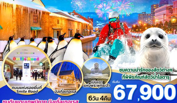 HOKKAIDO SMILE ROAD NEW YEAR 2025 6D 4N โดยสายการบินไทยแอร์เอเชีย เอ็กซ์ [XJ]