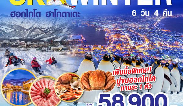 HOKKAIDO HAKODATE SKI WINTER 6D 4N  โดยสายการบินไทย [TG]