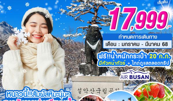 KR34_ทัวร์เกาหลี BEAUTIFUL SNOW 5 วัน 3 คืน บิน BX