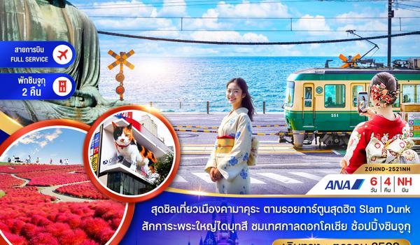 ZGHND-2521NH โตเกียว ฟูจิ ชมดอกโคเชีย พักชินจูกุ