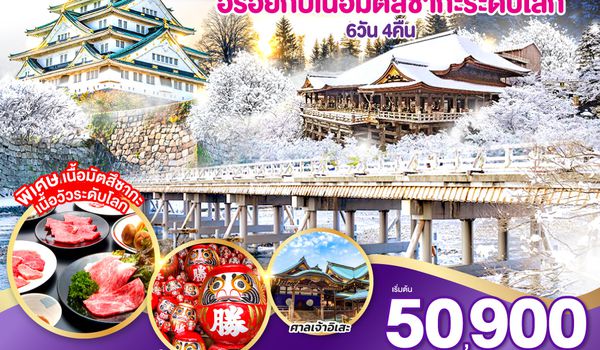QQGO2KIX-TG081 เที่ยวแบบเริ๊ดๆ โอซาก้า เกียวโต อร่อยกับเนื้อมัตสึซากะระดับโลก 6วัน 4คืน โดยสายการบินไทย [TG]