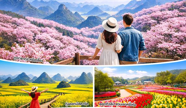 QQGO1CNXKMG-DR007 บินตรง..เชียงใหม่ ชมความงดงามของมวลพฤกษา  คุนหมิง โหลวผิง หยีเหลียง 4 วัน 3 คืน โดยสายการบิน  Ruili Airlines (DR)