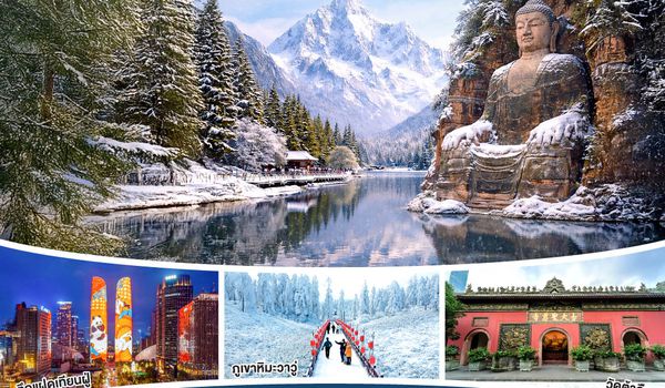 QQGO1CNXTFU-EU021 บินตรงเชียงใหม่ เฉิงตู ปี้เผิงโกว เล่อซาน ง้อไบ๊ ภูเขาหิมะวาวู่ 5 วัน 4 คืน  ** เที่ยวเต็มอิ่ม..ไม่ลงร้านช้อป** โดยสายการบิน Chengdu Airlines (EU)