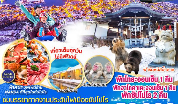 QQGO2CTS-TG050 HOKKAIDO HAKODATE SNOW WINTER  6D 4N โดยสายการบินไทย [TG]