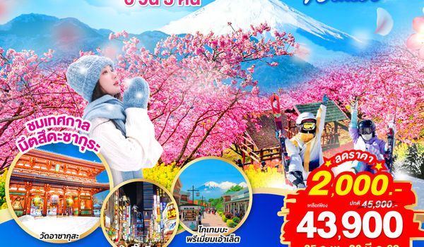 QQGO2HND-TG038 TOKYO FUJI MATSUDA SAKURA SKI WINTER 6D 3N  โดยสายการบินไทย [TG]