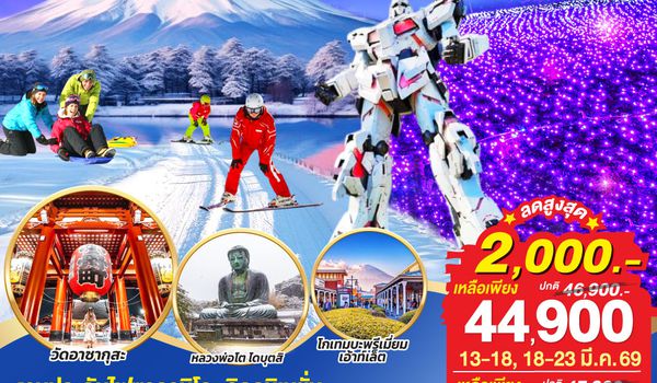 QQGO2HND-TG039 TOKYO FUJI SKI WINTER LIGHT UP 6D 3N  โดยสายการบินไทย [TG]