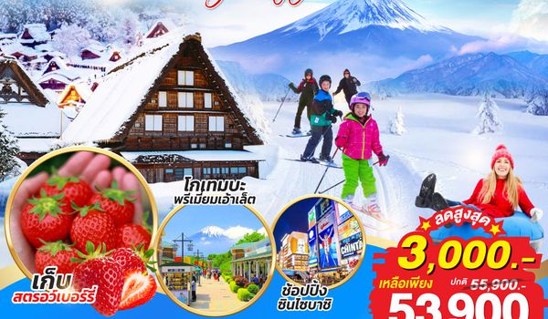 QQGO2HND-TG037 TOKYO FUJI TAKAYAMA OSAKA SKI WINTER 6D 4N โดยสายการบินไทย [TG]