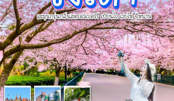 QQGO1TAO-CZ003 ชิงเต่า ลัดฟ้าชมซากุระ ละมุนกรุ่นกลิ่นสตรอว์เบอร์รี่  เยียนไถ เว่ยไห่ จี่หนาน 6 วัน 5 คืน โดยสายการบิน ไชน่า เซาเทิร์น (CZ)