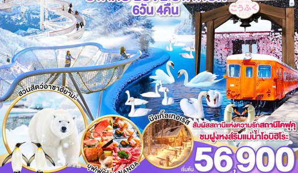 QQGO2CTS-TG069 HOKKAIDO TOMAMU OTARU LOVE STATION 6D 4N โดยสายการบินไทย [TG]