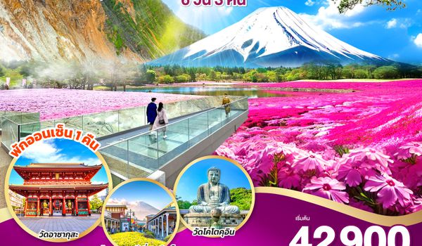 QQGO2HND-TG046 TOKYO FUJI PINKMOSS SHOPPING 6D 3N  โดยสายการบินไทย [TG]