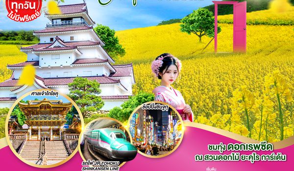 QQGO2HND-TG048 TOKYO TOHOKU FUKUSHIMA SENDAI COLORFUL 6D 3N โดยสายการบินไทย [TG]