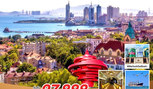 QQGO1TAO-SC001 บินตรงชิงเต่า สี่เมืองสุดชิค จิบไวน์หรู ดูโรงเบียร์ ชิงเต่า เยียนไถ เผิงไหล เว่ยไห่ 6 วัน 4 คืน โดยสายการบิน ซานตง แอร์ไลน์ (SC)